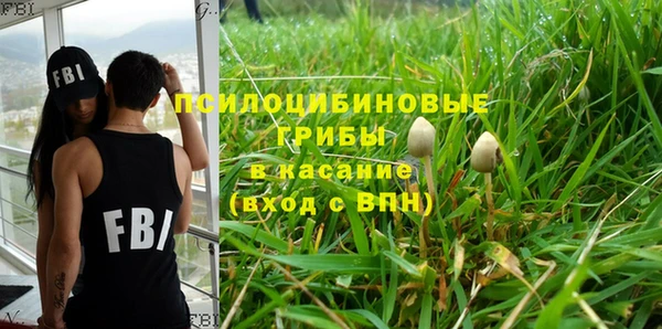 хмурый Вязьма