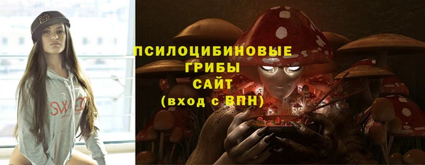хмурый Вязьма