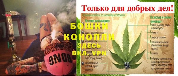 PSILOCYBIN Вязники