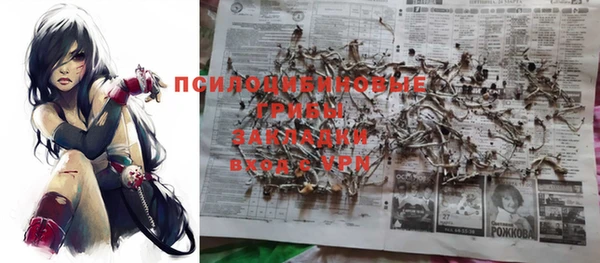 хмурый Вязьма